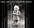 wolyn1.jpg
