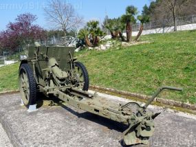 Haubice z Mignano Monte Lungo (źródło: Fundacja Andrzej Marzec Montr Cassino)