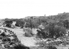 Hiszpania rok 1938. Bateria haubic 100 mm z włoskiego Corpo Truppe Volontarie (CTV) w gaju oliwnym.