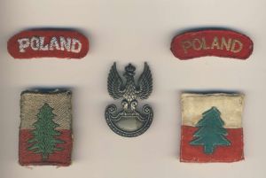 Orzełek kanadyjskiego wykonania Scully oraz oznaki 3. Dywizji Strzelców Karpackich wykonane haftem maszynowym i ręcznym w 1943 roku na Bliskim Wschodzie. Zgodnie ze wspomnieniami włoskich żołnierzy, oznaki tego typu nanoszono na mundury w 111. KOM. (zbiory K. Piotrowski)
