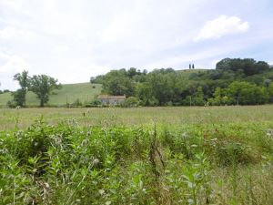 Podstawa wyjściowa kompanii commando na polderze przy C. Cocciola. (fot. KP, 17.7.19 r.)