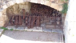 Sam zamek Joannitów opisany jest w osobnym artykule. Znajduje się tam miejsce gdzie zgromadzono przedmioty odnalezione na terenie zamku. (Isola Coo)