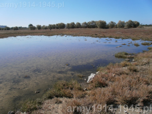 Okolice miejsca zbrodni. (Isola Coo)