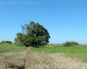 Miejsce dookoła którego odkryto jamy grobowe. (Isola Coo)