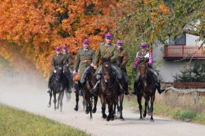 Rozgrzewka koni, Hubertus, Pietkowo, 2014 r.