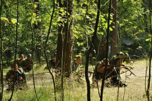 b_300_0_16777215_00_images_Rek1_14_pulk_Syber_14pulk_74.jpg