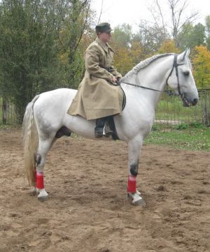 b_300_0_16777215_00_images_Rek1_TowarzBroni_tawarz_32.jpg