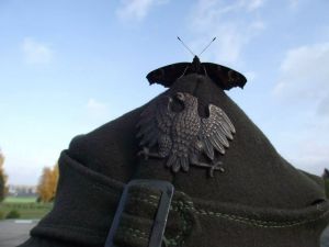 b_300_0_16777215_00_images_Rek1_TowarzBroni_tawarz_35.jpg