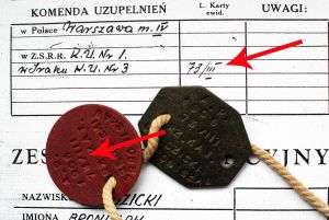 b_300_0_16777215_00_images_Rek1_grhPSZ_niesmiertelnikPSZ_nies_1.jpg