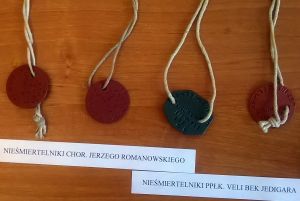 b_300_0_16777215_00_images_Rek1_grhPSZ_niesmiertelnikPSZ_nies_8.jpg