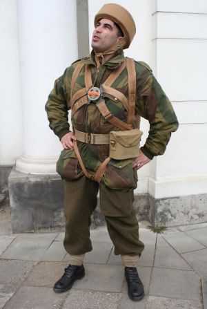b_300_0_16777215_00_images_Rek1_grhPSZ_spad2_spad2_1a.jpg