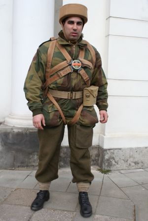 b_300_0_16777215_00_images_Rek1_grhPSZ_spad2_spad2_3a.jpg