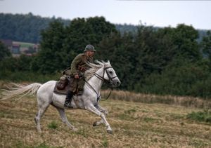 b_300_0_16777215_00_images_Rek2_Mlawa39_Osiak_9a.jpg