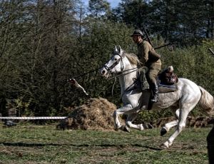 b_300_0_16777215_00_images_Rek2_Osuchow39_Osiak_Osiak_81.jpg