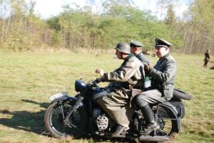 b_300_0_16777215_00_images_Rek2_Osuchow39_Osiak_Osiak_82.jpg