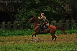 b_300_0_16777215_00_images_Sliwinska_IMG_2442.JPG