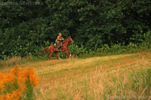b_300_0_16777215_00_images_Sliwinska_IMG_2636.JPG