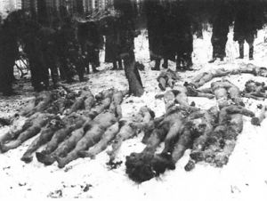 Wieś Połowce, powiat Czortków, woj. tarnopolskie. Służba leśna przy zwłokach 27 Polaków zamordowanych przez UPA. 16 stycznia 1944 r.