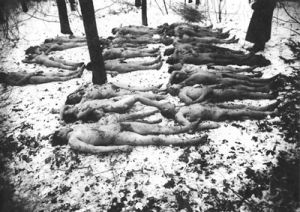 Wieś Połowce, powiat Czortków, woj. tarnopolskie. Służba leśna przy zwłokach 27 Polaków zamordowanych przez UPA. 16 stycznia 1944 r.