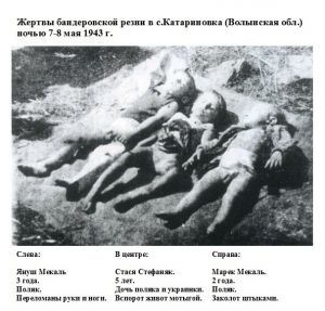 Kolonia katerynówka: Z lewej: Janusz Mekal, Polak 3 latka - połamane ręce i nogi. W środku: Stasia Stefaniak 5 latek, córka Polaka i Ukrainki - rozpruty brzuch. Z prawej: Marek Mekal, Polak 2 latka - przebity bagnetem. Rany dzieci posypano solą kiedy jeszcze żyły. Wyciągnięto na pole i zostawiono aż skonały.