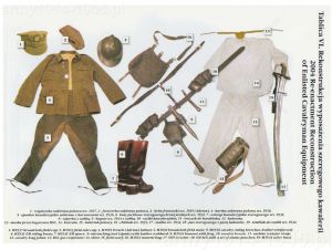 Źródło: Kawaleria samodzielna Wojska Polskiego w bitwie nad Bzurą 1939; praca zbiorowa; Warszawa 2005; Polonia Militaris